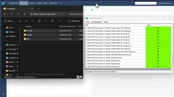 Bulk upload: Subida masiva de documentos.