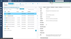 Acciones Masivas: Actualización de ficheros simultáneamente.